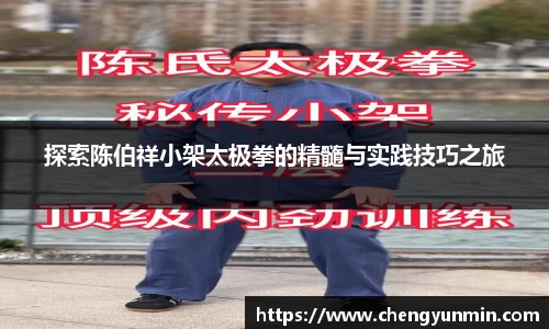 探索陈伯祥小架太极拳的精髓与实践技巧之旅