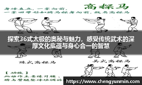 探索36式太极的奥秘与魅力，感受传统武术的深厚文化底蕴与身心合一的智慧